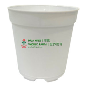 BABA No.55 Plastic Pot (White) (5.5cmØ x 5cmH)