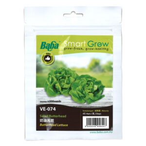 BABA Seed VE-074 Butterhead Lettuce (Pack)