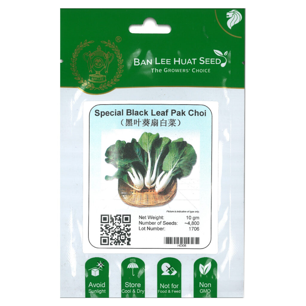 BAN LEE HUAT Seed HD08 Special Black Leaf Pak Choi (Pack)