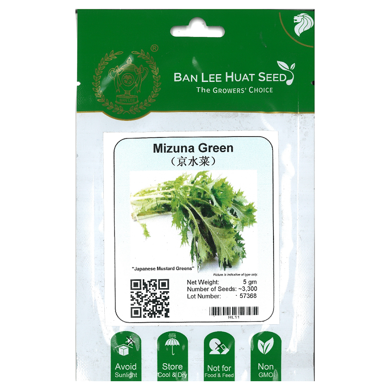 Mizuna Mustard Greens